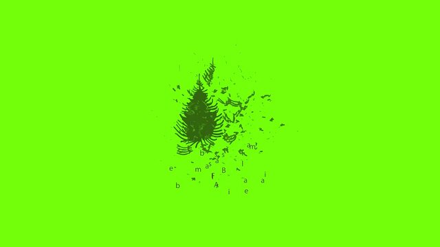 Balsam Fir Icon Animation Cartoon Object On Green Screen Background