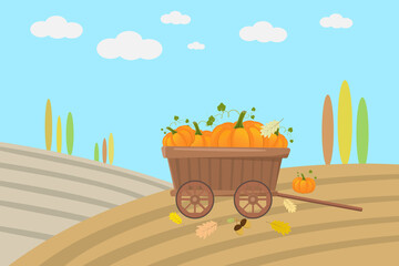 Rustic autumn landscape. Harvesting. Thanksgiving Day. Finished work or template for design.