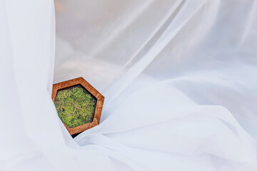 Two wedding rings in a wooden box with a moss plant on a white background with veil