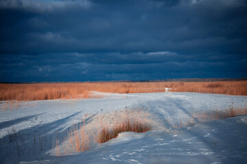 Snowy field with a dramatic stormy sky