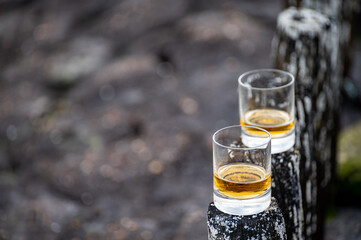 Tasting of dram single malt scotch whisky on seashore in Scotland, old wooden pole with whisky glass