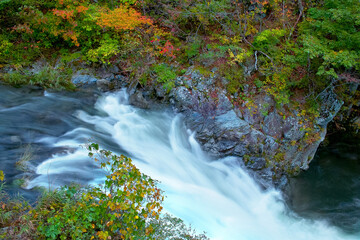 山奥の流れの激しい渓流