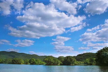 Obraz na płótnie Canvas 青空を映す穏やかな水面の川