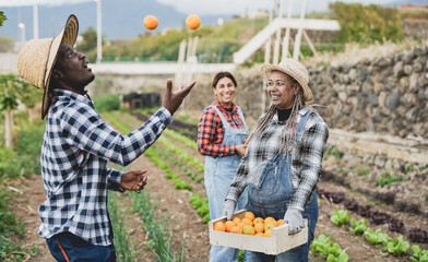 Multiracial people having fun while gardening together - Multi generational farmer worker