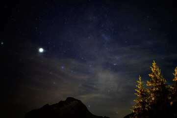 Fototapeta premium Evergreen fir tree with cones, peaks of French Alps mountains and starry sky at night on background