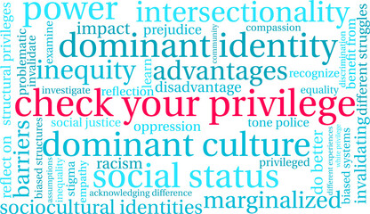 Check Your Privilege Word Cloud on a white background. 