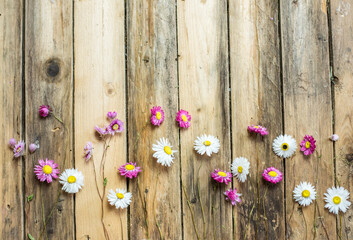 Dekoration mit Trockenblumen auf hölzernen Untergrund, getrocknete Gräser und Blumen