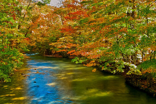 紅葉美しい秋の奥入瀬渓流