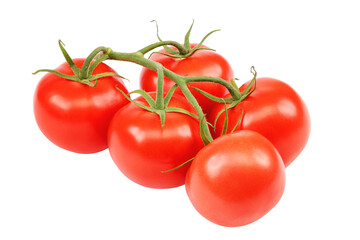 Fresh red tomato, on a white background.