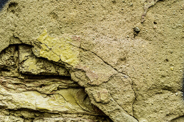 Green and old brick wall. Close up view