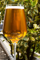 beer in a glass glass, which is intended for wine. The concept - it does not matter from which dishes to drink alcohol. Outdoor cafe in summer, soft drinks, beer, outdoor recreation, bar menu