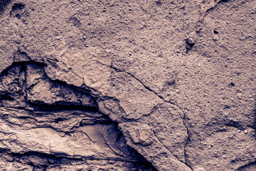 Green and old brick wall. Close up view