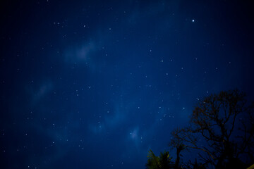 Fototapeta premium A Sky full of stars