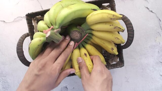  hand pick f fresh banana in a bowl on table .