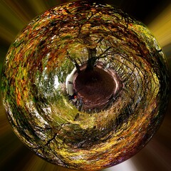 natura, texture, pianeta, astratto, terra, alberi, vecchio, bianco, boschi, verde, mondo, arte, isolata, marrone, esempio, mare, sfera, globo, cerchio, spirale, giro, pietra, spazio