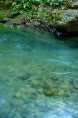 青い綺麗な水が流れる清流