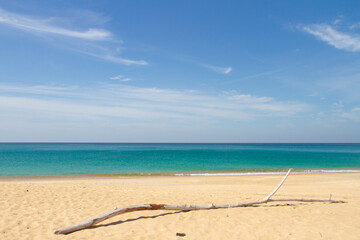 Old wood snag on tropical beach. Phuket. Thailand. Beautiful blue sky and azure sea