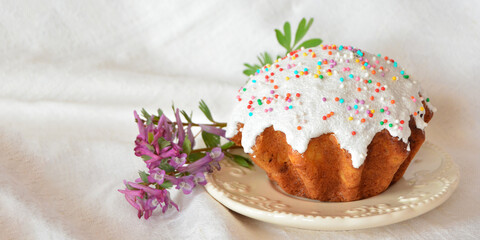 Obraz na płótnie Canvas Panoramic photo of Easter cake (kulich) and purple flowers on a white background in a high key. Homemade cakes. Copyspace for the text.