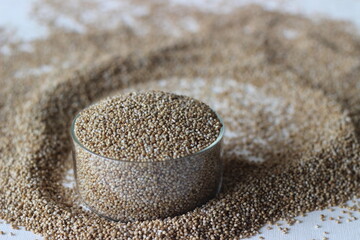 A spread of Paspalum scrobiculatum grains, commonly called Koda millet