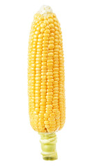 Raw corn isolated on white background
