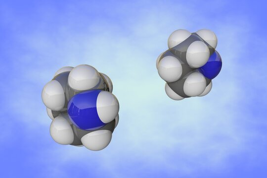 Space-filling molecular model of piperidine. Atoms are represented as spheres with conventional color coding: carbon (grey), nitrogen (blue), hydrogen (white). 3d illustration