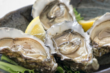Open oysters with copy space