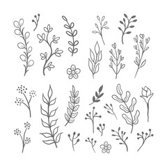 Hand drawn floral ornaments. Flowers and leaves doodle vector collection. Decorative plants illustrations. Nature decoration drawings handmade style.