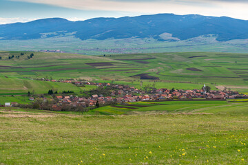 Typical hungarian village in Transylvania, Romania at springtime, vibrant green grass with wild flower on the foreground.