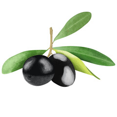 olives with leaves digital drawing
