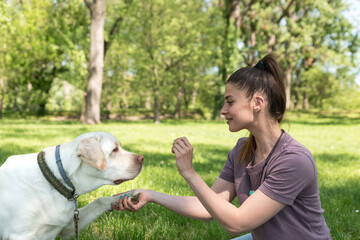 Young beautiful woman sits in the park with her pet dog a golden Labrador Retriever and tries to...