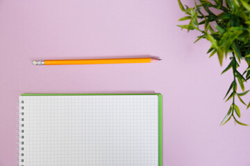 Office supplies in the pinc color workspace