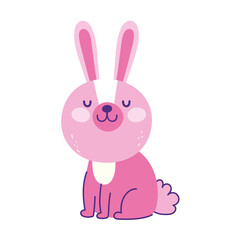 cute pink bunny