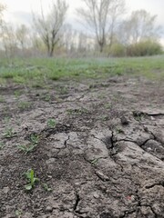 Landscape with a view of cracks in the ground on the road in the forest.