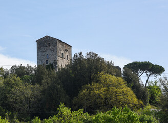 Fototapeta na wymiar La torre del castello di Montarrenti vicino a Siena