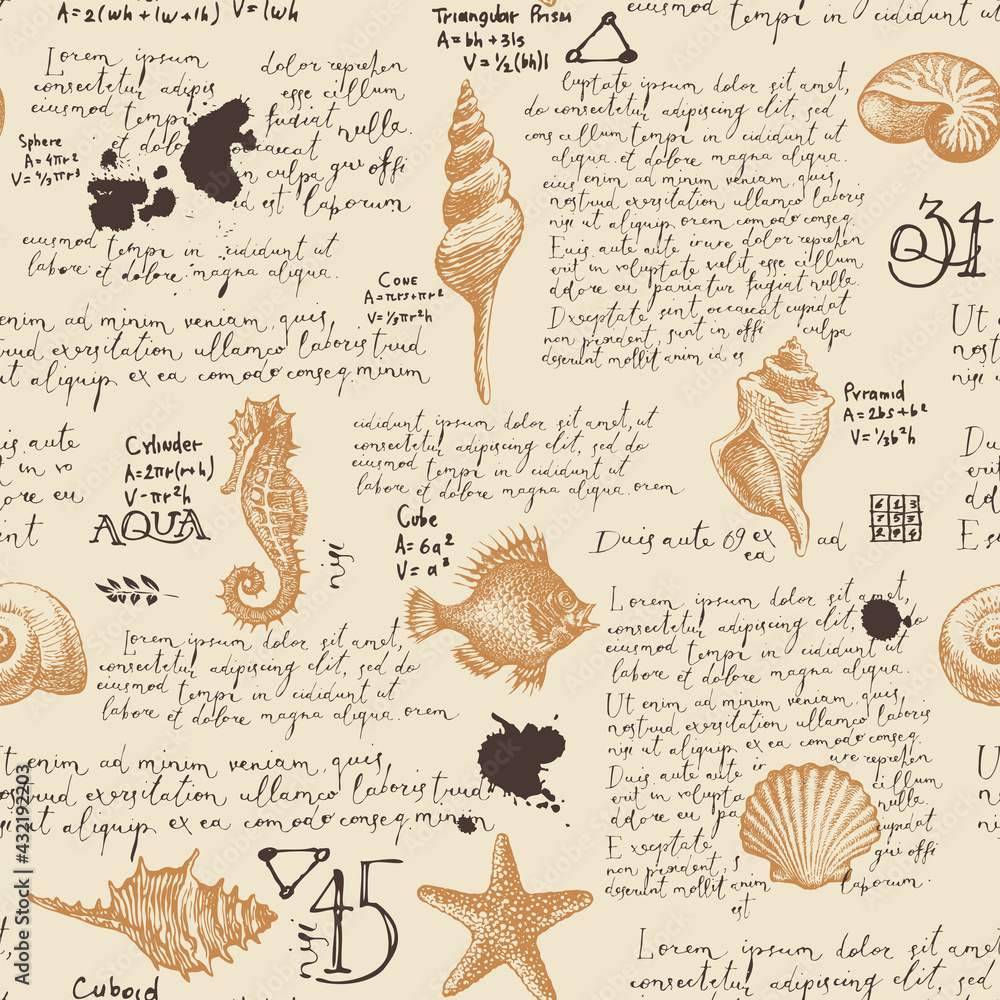 Poster abstract seamless pattern with hand-drawn seashells and handwritten text lorem ipsum. vector backgro