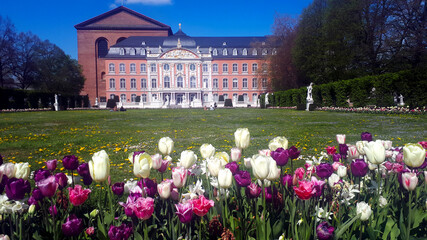 Kurfürstliches Palais und Konstantinbasilika in Trier im Frühling und Wiese davor mit blühenden Blumen