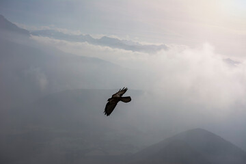 High up in the Clouds
