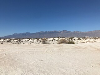 Dunas de Yeso, Cuatro Ciénegas Coahuila