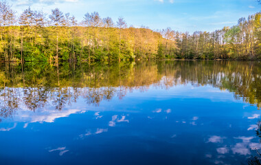 Kleiner Waldsee im Frühjahr
