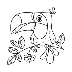 Fototapeta premium Toucan sits on branch and eats berry coloring page. Cartoon vector illustration