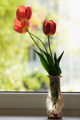 Red tulips in a vase stand on a windowsill against a background of beautiful bokeh. Sunny spring day outside the window. Cozy home or congratulation concept.