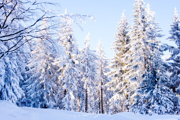 Beautiful winter landscape. Mountains in winter. The forest is covered with snow. Landscape for poster.Snowdrifts on winter snow covered mountainside and sun shine in blue sky. 