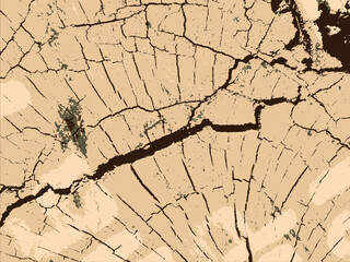 Abstract artistic background, colorful abstract vector template. Natural Wood Crack Texture, Background, Vector, Template.