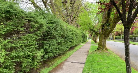 Establishing shot. Neighbourhood of luxury houses with street road, green fence and nice landscape in Vancouver, Canada. Blue sky. Day time on September 2020. Still camera view. 