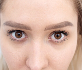 Obraz premium Gazing at camera