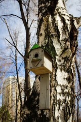 Birdhouse on a tree. Wooden bird house on a tree trunk in a green park outdoors.