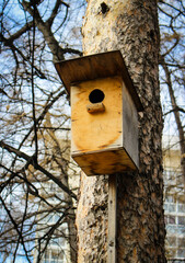 Birdhouse on a tree. Wooden bird house on a tree trunk in a green park outdoors.