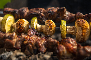 Grilled meat with vegetables on coals