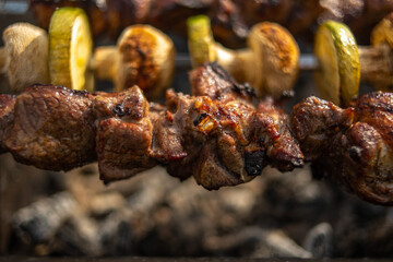 Grilled meat with vegetables on coals