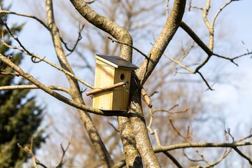 A square shaped nest box standing on a branch of a leafless tree in a garden on a sunny day. The bird hole of the birdhouse is visible and it is mounted on the tree with some wire and sticks.